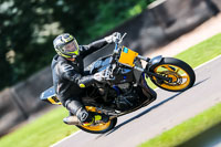 PJ-Motorsport-Photography-2020;anglesey;brands-hatch;cadwell-park;croft;donington-park;enduro-digital-images;event-digital-images;eventdigitalimages;mallory;no-limits;oulton-park;peter-wileman-photography;racing-digital-images;silverstone;snetterton;trackday-digital-images;trackday-photos;vmcc-banbury-run;welsh-2-day-enduro